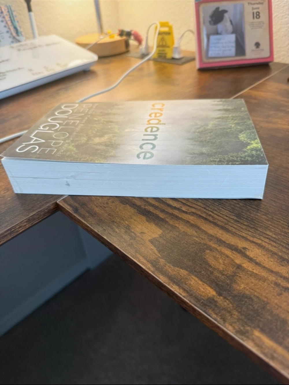 Paperback Book 'credence' - Green/White Cover